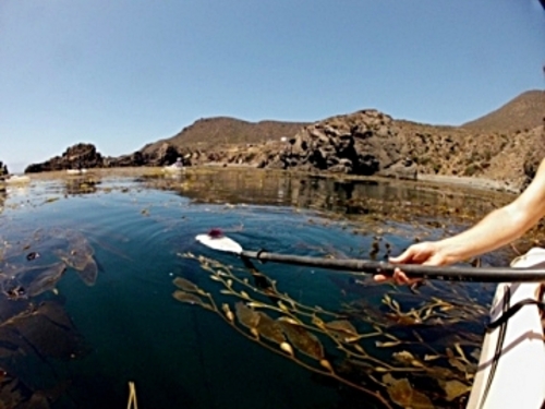 Ensenada  Mexico bottled water and lunch Cruise Excursion