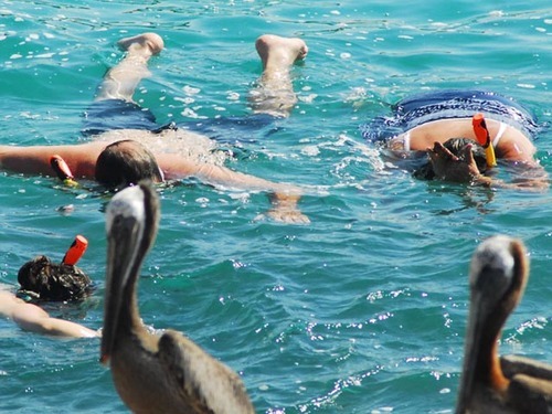 Cabo San Lucas  Mexico snorkeling Reservations