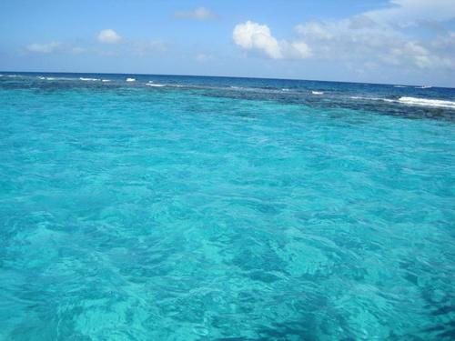 Grand Cayman  Grand Cayman (George Town) marine preserve snorkeling Reviews