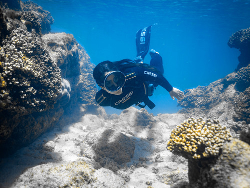 Cabo San Lucas  Mexico Santa Maria  Cruise Excursion