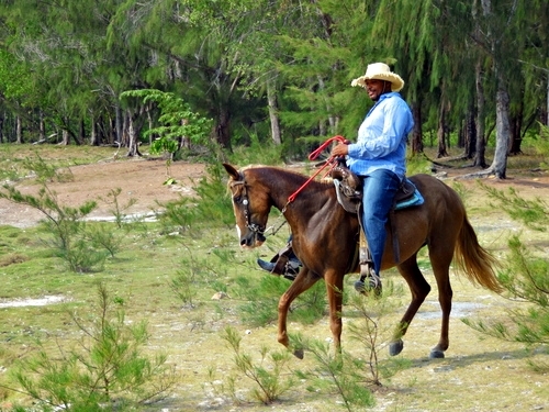Roatan  Honduras horseback riding Trip Reservations