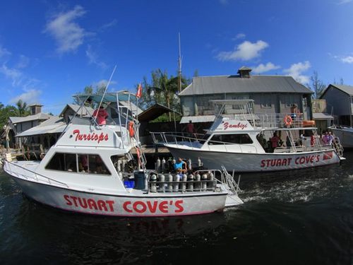 Nassau  Bahamas spectacular marine life Reviews