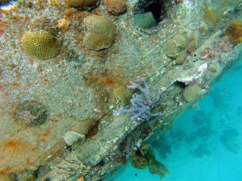 Bridgetown pirate party boat Tour Cost