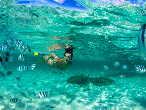 Costa Maya 2 Reef Snorkel Tour Tickets