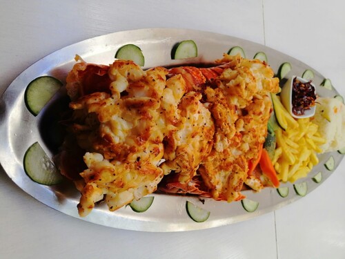 Costa Maya  Mexico Food Cruise Excursion Reservations