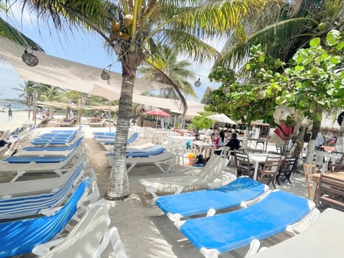 Costa Maya Mexico ATV Adventure Excursion Prices