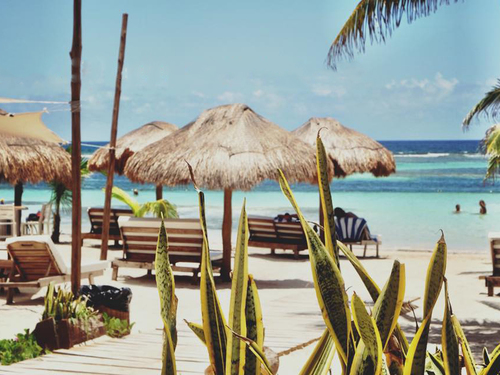 Costa Maya Beach Cruise Excursion Prices