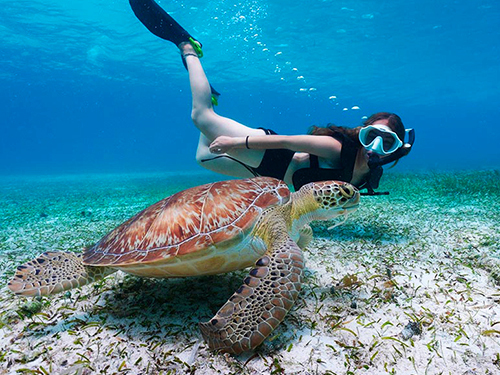 Costa Maya  Mexico Beach Break Excursion Tickets