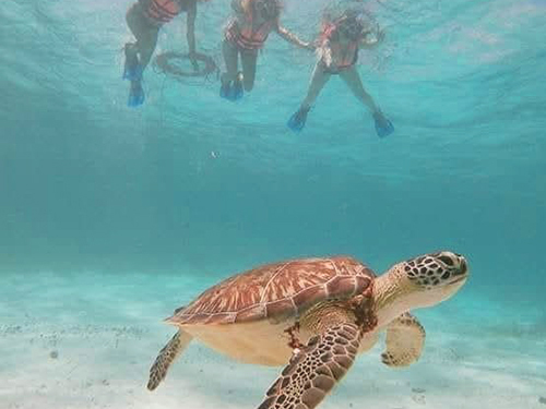 Costa Maya Day Pass Trip Prices