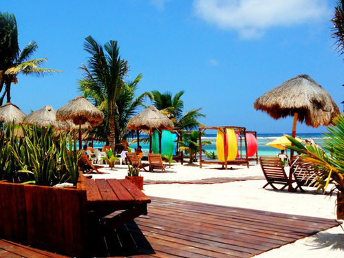 Costa Maya diving Cruise Excursion Cost