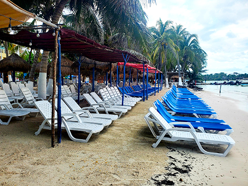 Costa Maya Family Tour Reviews