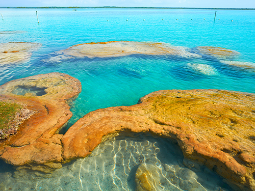 Costa Maya Stromatolites Boat Ride Excursion Tickets