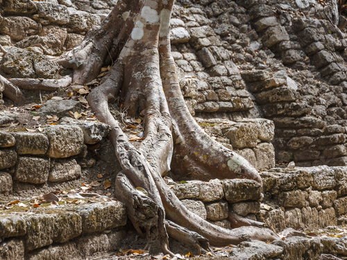 Costa Maya Mayan History Tour Reservations