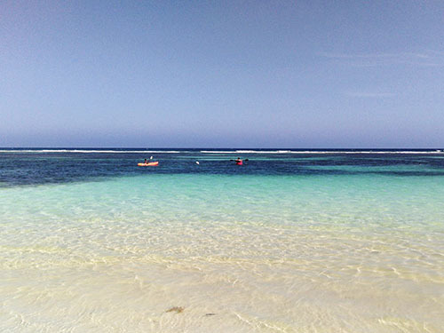 Costa Maya  Mexico Mahahual Tour Cost