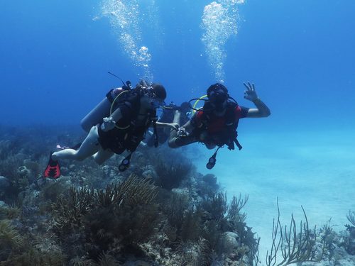 Costa Maya scuba diving Cruise Excursion Cost