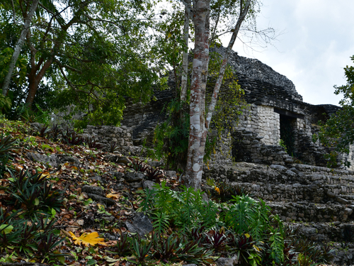 Costa Maya Mexico Mayan History Trip Prices
