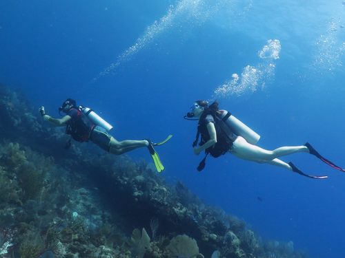 Costa Maya dive Cruise Excursion Booking