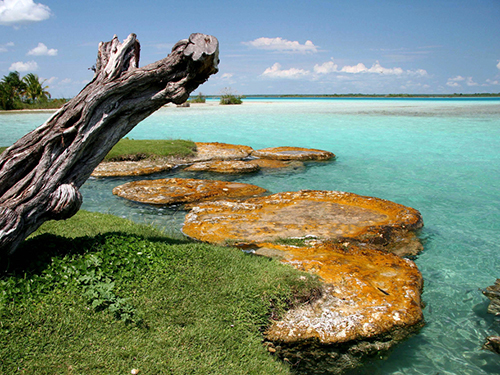 Costa Maya Seven Color Lagoon Adventure Tour Reservations