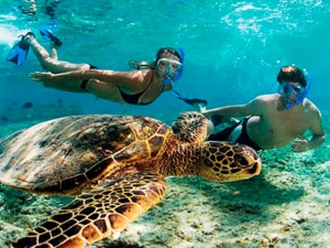 Costa Maya Reef Snorkeling and Ibiza Sunset Beach Day Pass Excursion