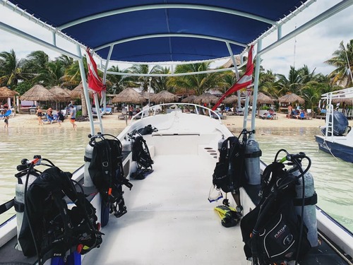 Costa Maya Scuba Diving Tour Prices