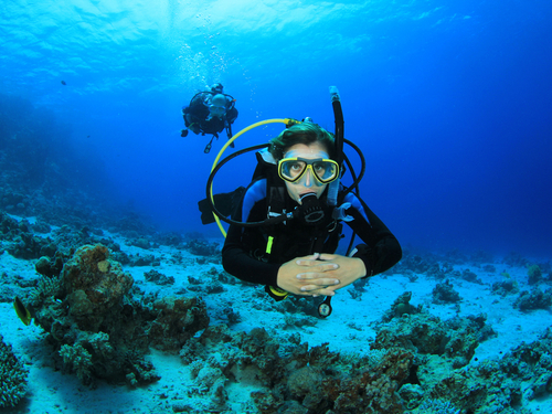 Costa Maya diving Tour Reservations