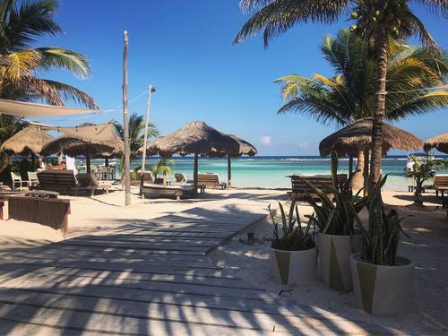 Costa Maya Swimming Trip Booking