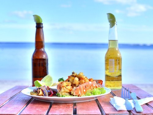 Costa Maya Swimming Trip Prices