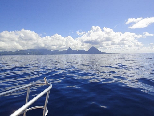 St. Lucia Humpback whale Shore Excursion Cost