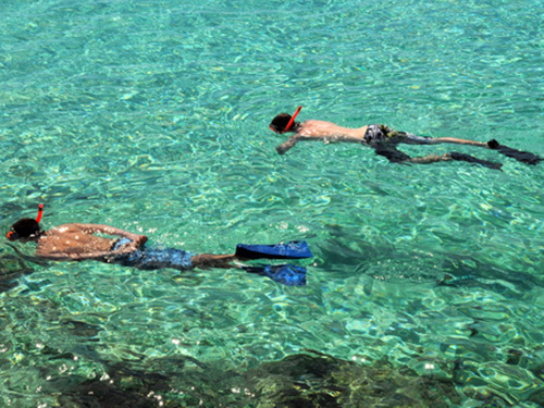 Grenada snorkel Cruise Excursion Reviews