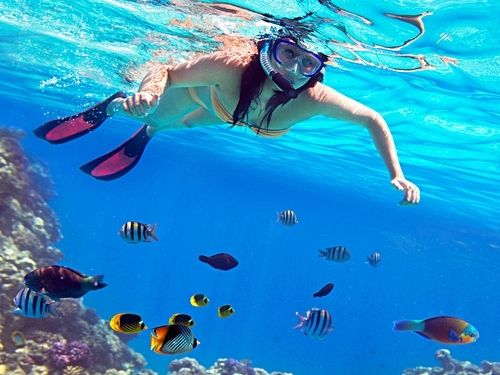 Grand Turk  Turks and Caicos all included beach break Excursion Tickets