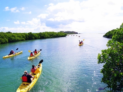 St. Thomas mangrove kayak Cruise Excursion Tickets