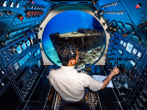 Cozumel Atlantis Submarine and El Cielo Sandbar Excursion