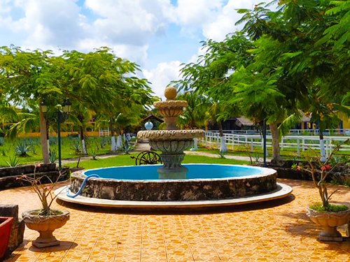 Cozumel playa uvas Shore Excursion Reservations