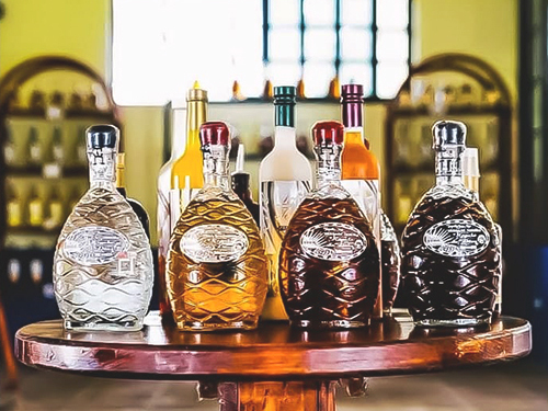 Cozumel uvas beach club Excursion Reviews