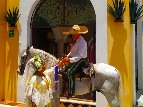 Cozumel atv Shore Excursion Cost