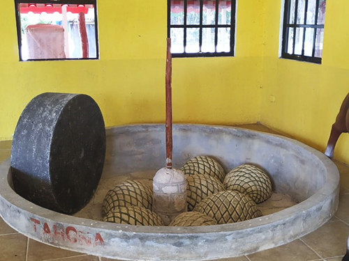 Cozumel snorkel Trip Booking