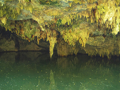 Cozumel playa uvas Cruise Excursion Reservations