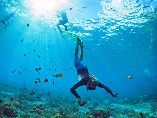 Cozumel beginners scuba Shore Excursion Reservations