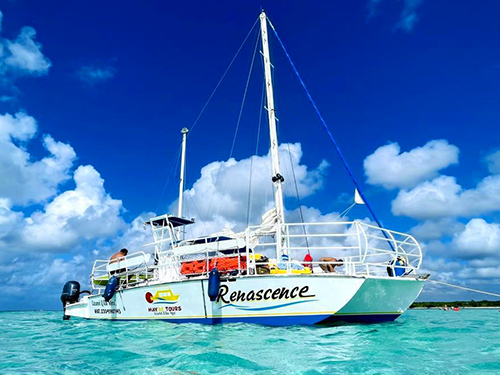 Cozumel Catamaran El Cielo Starfish Sandbar, Stingrays and the Turtle Bay Excursion