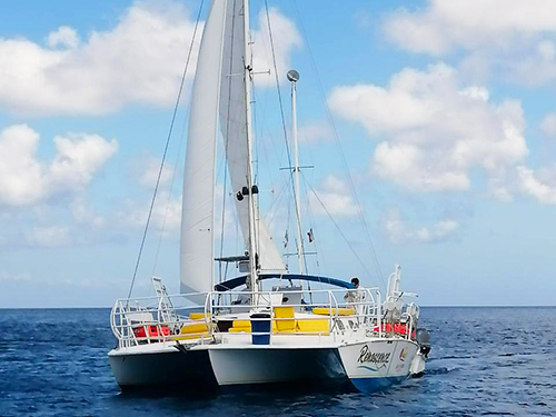 Cozumel Catamaran El Cielo Starfish Sandbar, Stingrays and the Turtle Bay Excursion