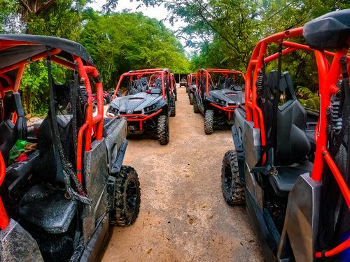 Cozumel Cavern Trip Reviews