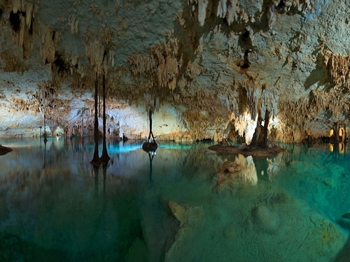 Cozumel Cenotes Excursion Prices