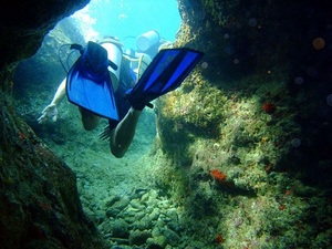 Cozumel Chankanaab National Marine Park SCUBA Diving Excursion - Statues, Reef, and Cave Diving from Playa del Carmen