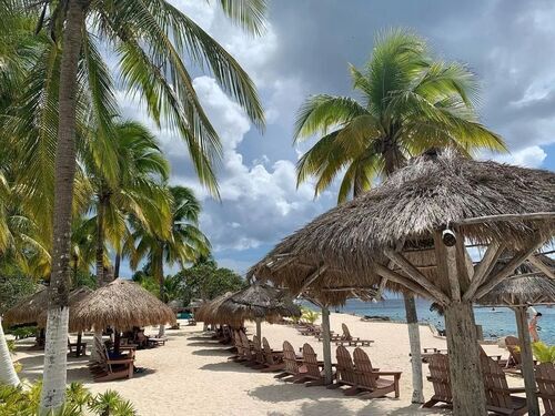 Cozumel Chankanaab Park Premium Day Pass with Open Bar and Lunch Excursion