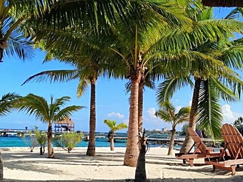 Cozumel Chankanaab Park Premium Day Pass with Open Bar and Lunch Excursion