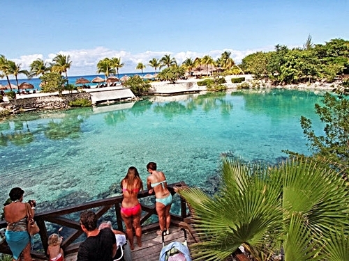 Cozumel Chankanaab Park Premium Day Pass with Open Bar and Lunch Excursion