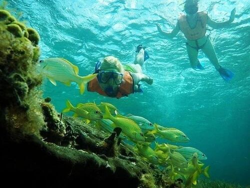 Cozumel Chankanaab Park Premium Day Pass with Open Bar and Lunch Excursion