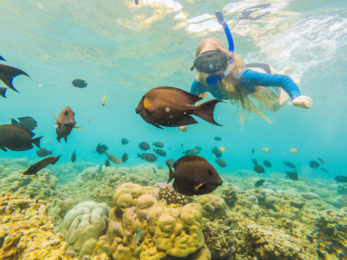 Cozumel Cozumel Highlights Jeep Tickets Prices