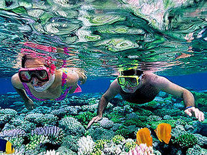 Cozumel Colombia and Palancar Reef Snorkel, and Starfish Sandbar Excursion by Glass Bottom Boat