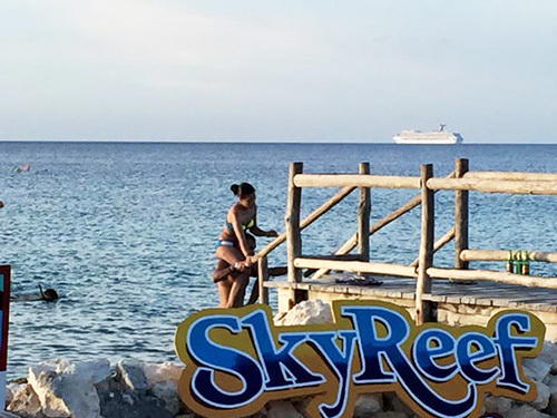 Cozumel Coral Reef Tour Prices